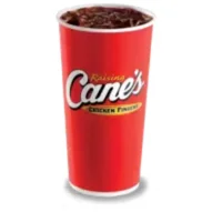 Fountain Drink
